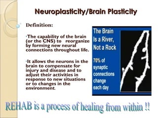 Neuroplasticity/Brain Plasticity Definition: The capability of the brain (or the CNS) to  reorganize by forming new neural connections throughout life.  It allows the neurons in the brain to compensate for injury and disease and to adjust their activities in response to new situations or to changes in the environment . REHAB is a process of healing from within !! 