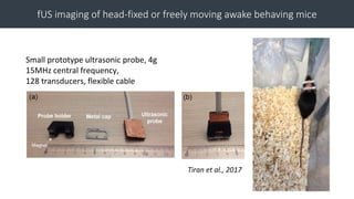 Functional Ultrasound (fUS) Imaging in the Brain of Awake Behaving Mice ...