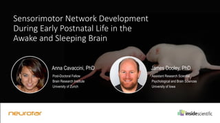 Sensorimotor Network Development
During Early Postnatal Life in the
Awake and Sleeping Brain
Anna Cavaccini, PhD
Post-Doctoral Fellow
Brain Research Institute
University of Zurich
James Dooley, PhD
Assistant Research Scientist
Psychological and Brain Sciences
University of Iowa
 