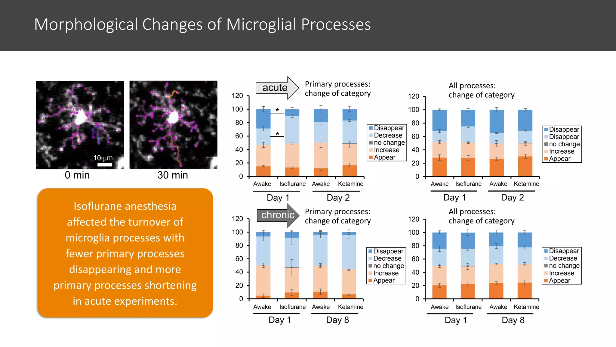 Single-Cell Electrophysiology and 2-Photon Imaging in Awake Mice with ...