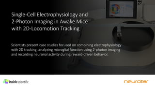 Single-Cell Electrophysiology and
2-Photon Imaging in Awake Mice
with 2D-Locomotion Tracking
Scientists present case studies focused on combining electrophysiology
with 2D tracking, analyzing microglial function using 2-photon imaging
and recording neuronal activity during reward-driven behavior.
 