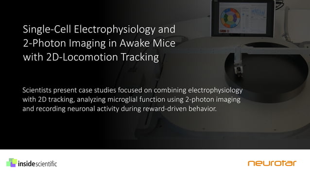 Single-Cell Electrophysiology and 2-Photon Imaging in Awake Mice with ...