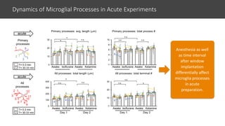 Single-Cell Electrophysiology and 2-Photon Imaging in Awake Mice with ...