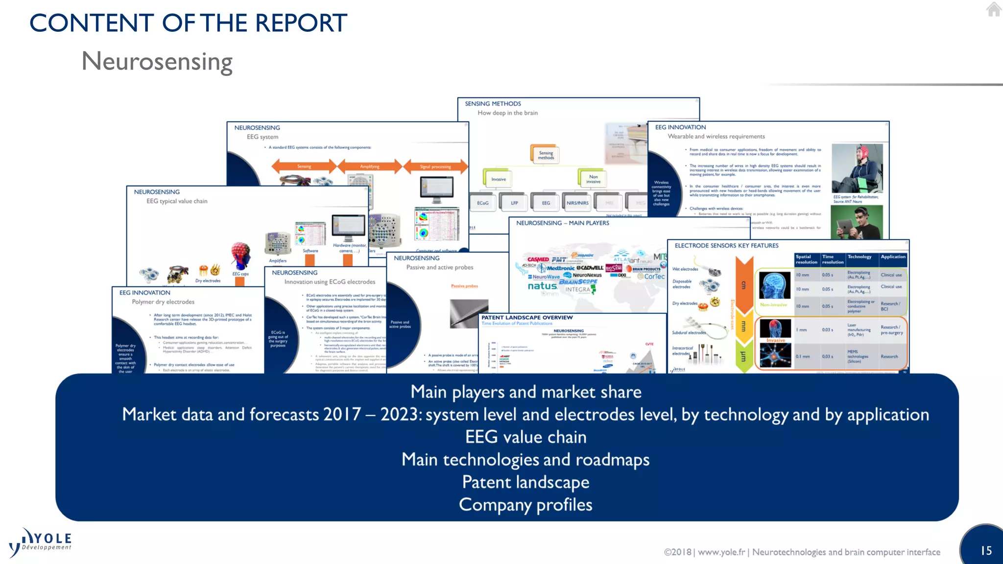 15
CONTENT OF THE REPORT
Neurosensing
 