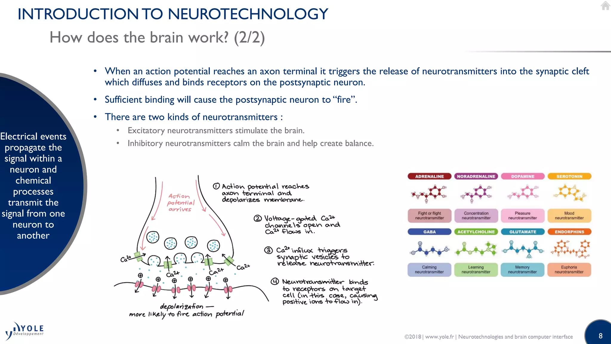8
INTRODUCTION TO NEUROTECHNOLOGY
How does the brain work? (2/2)
Electrical events
propagate the
signal within a
neuron and
chemical
processes
transmit the
signal from one
neuron to
another
• When an action potential reaches an axon terminal it triggers the release of neurotransmitters into the synaptic cleft
which diffuses and binds receptors on the postsynaptic neuron.
• Sufficient binding will cause the postsynaptic neuron to “fire”.
• There are two kinds of neurotransmitters :
• Excitatory neurotransmitters stimulate the brain.
• Inhibitory neurotransmitters calm the brain and help create balance.
 