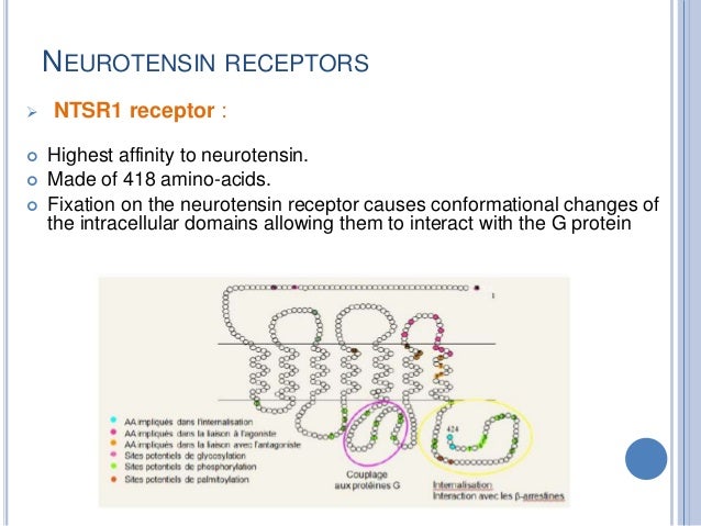 Neurotensin presentation