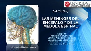 LAS MENINGES DEL
ENCÉFALO Y DE LA
MEDULA ESPINAL
Dr. Ángel Adrián Soto Polendo
CAPÍTULO 15
 