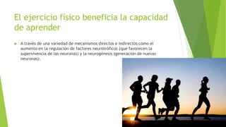 El ejercicio físico beneficia la capacidad
de aprender
 A través de una variedad de mecanismos directos e indirectos como el
aumento en la regulación de factores neurotróficos (que favorecen la
supervivencia de las neuronas) y la neurogénesis (generación de nuevas
neuronas).
 