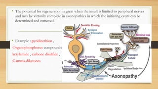 • The potential for regeneration is great when the insult is limited to peripheral nerves
and may be virtually complete in axonopathies in which the initiating event can be
determined and removed.
• Example : pyridinethion ,
Organophosphorus compounds ,
Acrylamide , carbone disulfide ,
Gamma-diketones
 