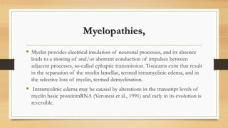 Myelopathies,
 Myelin provides electrical insulation of neuronal processes, and its absence
leads to a slowing of and/or aberrant conduction of impulses between
adjacent processes, so-called ephaptic transmission. Toxicants exist that result
in the separation of the myelin lamellae, termed intramyelinic edema, and in
the selective loss of myelin, termed demyelination.
 Intramyelinic edema may be caused by alterations in the transcript levels of
myelin basic proteinmRNA (Veronesi et al., 1991) and early in its evolution is
reversible.
 