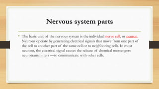 Nervous system parts
• The basic unit of the nervous system is the individual nerve cell, or neuron.
Neurons operate by generating electrical signals that move from one part of
the cell to another part of the same cell or to neighboring cells. In most
neurons, the electrical signal causes the release of chemical messengers
neurotransmitters —to communicate with other cells.
 