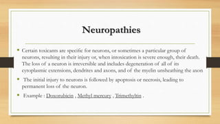 Neuropathies
 Certain toxicants are speciﬁc for neurons, or sometimes a particular group of
neurons, resulting in their injury or, when intoxication is severe enough, their death.
The loss of a neuron is irreversible and includes degeneration of all of its
cytoplasmic extensions, dendrites and axons, and of the myelin unsheathing the axon
 The initial injury to neurons is followed by apoptosis or necrosis, leading to
permanent loss of the neuron.
 Example : Doxorubicin , Methyl mercury , Trimethyltin .
 