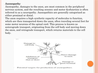 Neurotoxicity.pptx principles of toxicology M pharm | PPTX