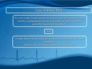 Care of Bitten Part
As most snakes harbor aerobic as well as anaerobic bacteria in their
mouths, a prophylactic course of penicillin or erythromycin for
penicillin-hypersensitive patients.
And
A single dose of broad spectrum antibiotic course which will cover
anaerobes.
Booster dose of tetanus toxoid is recommended.
 