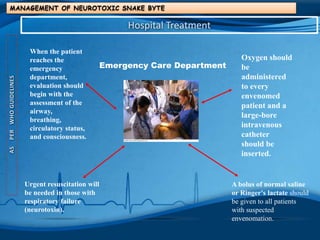 When the patient
reaches the
emergency
department,
evaluation should
begin with the
assessment of the
airway,
breathing,
circulatory status,
and consciousness.
Emergency Care Department
MANAGEMENT OF NEUROTOXIC SNAKE BYTE
ASPERWHOGUIDELINES
Hospital Treatment
Urgent resuscitation will
be needed in those with
respiratory failure
(neurotoxin).
Oxygen should
be
administered
to every
envenomed
patient and a
large-bore
intravenous
catheter
should be
inserted.
A bolus of normal saline
or Ringer's lactate should
be given to all patients
with suspected
envenomation.
 