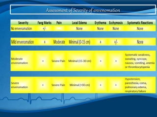 Assessment of Severity of envenomation
 