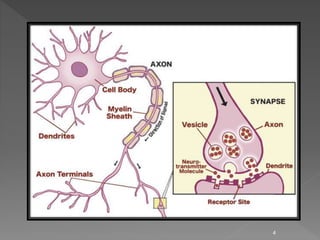 Neurotoxins  Slide 4