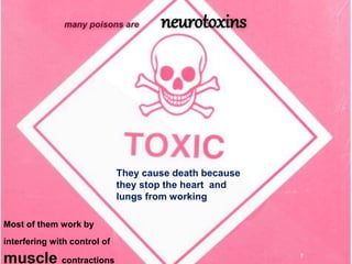 many poisons are neurotoxins
Most of them work by
interfering with control of
muscle contractions
They cause death because...