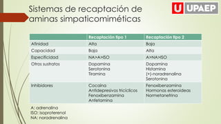 Recaptación tipo 1 Recaptación tipo 2
Afinidad Alta Baja
Capacidad Baja Alta
Especificidad NA>A>ISO A>NA>ISO
Otros sustratos Dopamina
Serotonina
Tiramina
Dopamina
Histamina
(+)-noradrenalina
Serotonina
Inhibidores Cocaína
Antidepresivos tricíclicos
Fenoxibenzamina
Anfetamina
Fenoxibenzamina
Hormonas esteroideas
Normetanefrina
Sistemas de recaptación de
aminas simpaticomiméticas
A: adrenalina
ISO: isoproterenol
NA: noradrenalina
 