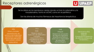 Receptores adrenérgicos
Se localizan en la membrana celular donde actúan la adrenalina y la
noradrenalina, tanto en el SNC como en el periférico
Son las dianas de muchos fármacos de importancia terapéutica
1896
Oliver y Schafer
Administración de
extracto de la glándula
suprarrenal a animales
provocaba elevación
de la presión arterial
(adrenalina)
1913
Dale
Observó que la
inyección de adrenalina
causaba
vasoconstricción o
vasodilatación en los
diferentes lechos
vasculares
1948
Ahlquist
Observó la actuación
de algunos agonistas
simpaticomométicos
para ver su capacidad
de respuesta
farmacológica
Decinueve años
después
Ahlquist
Comprobó la existencia
de distintos subtipos de
receptores β
 