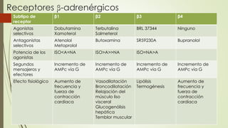 Subtipo de
receptor
β1 β2 β3 β4
Agonistas
selectivos
Dobutamina
Xamoterol
Terbutalina
Salmeterol
BRL 37344 Ninguno
Antagonistas
selectivos
Atenolol
Metoprolol
Butoxamina SR59230A Bupranolol
Potencia de los
agonistas
ISO<A=NA ISO>A>>NA ISO=NA>A
Segundos
mensajeros y
efectores
Incremento de
AMPc vía G
Incremento de
AMPc vía G
Incremento de
AMPc vía G
Incremento de
AMPc vía G
Efecto fisiológico Aumento de
frecuencia y
fuerza de
contracción
cardíaca
Vasodilatación
Broncodilatación
Relajación del
músculo liso
visceral
Glucogenólisis
hepática
Temblor muscular
Lipólisis
Termogénesis
Aumento de
frecuencia y
fuerza de
contracción
cardíaca
Receptores β-adrenérgicos
 