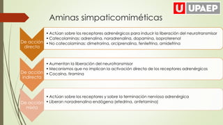Aminas simpaticomiméticas
De acción
directa
• Actúan sobre los receptores adrenérgicos para inducir la liberación del neurotransmisor
• Catecolaminas: adrenalina, noradrenalina, dopamina, isoproterenol
• No catecolaminas: dimetrorina, orciprenalina, fenilefrina, amidefrina
De acción
indirecta
• Aumentan la liberación del neurotransmisor
• Mecanismos que no implican la activación directa de los receptores adrenérgicos
• Cocaína, tiramina
De acción
mixta
• Actúan sobre los receptores y sobre la terminación nerviosa adrenérgica
• Liberan noradrenalina endógena (efedrina, anfetamina)
 
