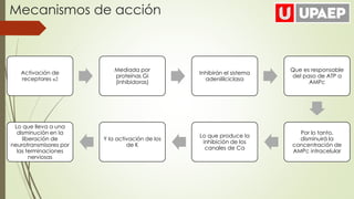 Activación de
receptores α2
Mediada por
proteínas Gi
(inhibidoras)
Inhibirán el sistema
adenililciclasa
Que es responsable
del paso de ATP a
AMPc
Por lo tanto,
disminuirá la
concentración de
AMPc intracelular
Lo que produce la
inhibición de los
canales de Ca
Y la activación de los
de K
Lo que lleva a una
disminución en la
liberación de
neurotransmisores por
las terminaciones
nerviosas
Mecanismos de acción
 