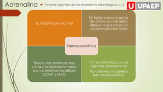 Adrenalina  Potente agonista de los receptores adrenérgicos α y β
Es inactiva por vía oral
En tejido subcutáneo la
absorción es más lenta
debido a que produce
vasoconstricción local
Posee una semivida muy
corta y es biotransformado
por las enzimas hepáticas
COMT y MAO
Por vía intramuscular se
absorbe rápidamente
No atraviesa la barrera
hematoencefálica
Farmacocinética
 