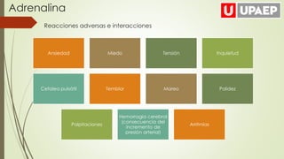 Adrenalina
Ansiedad Miedo Tensión Inquietud
Cefalea pulsátil Temblor Mareo Palidez
Palpitaciones
Hemorragia cerebral
(consecuencia del
incremento de
presión arterial)
Arritmias
Reacciones adversas e interacciones
 
