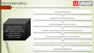 Noradrenalina
 Liberado desde las terminaciones nerviosas adrenérgicas posganglionares
Farmacocinética
Ineficaz por vía oral
Mala absorción por vía
subcutánea
Metabolizada por
COMT y MAO
Puede causar hiperglucemia
Aumenta la frecuencia cardíaca, la contractilidad, el volumen minuto y la presión sistólica
Aumenta la resistencia periférica y la presión diastólica
Produce vasoconstricción de la piel, mucosas y área esplácnica
Más potente sobre los receptores α que los β
Agonistas directos de células efectoras
Acciones farmacológicas
 