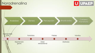 Ansiedad Disnea Percepción Bradicardia
Cefalea
transitoria
Noradrenalina
Hipersensible
a NA
Hipertensión
grave
Fotofobia
Dolor
retroesternal
Palidez
Diaforesis
Vómitos
 