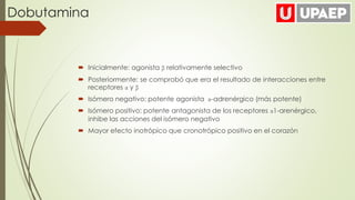  Inicialmente: agonista β relativamente selectivo
 Posteriormente: se comprobó que era el resultado de interacciones entre
receptores α y β
 Isómero negativo: potente agonista α-adrenérgico (más potente)
 Isómero positivo: potente antagonista de los receptores α1-arenérgico,
inhibe las acciones del isómero negativo
 Mayor efecto inotrópico que cronotrópico positivo en el corazón
Dobutamina
 