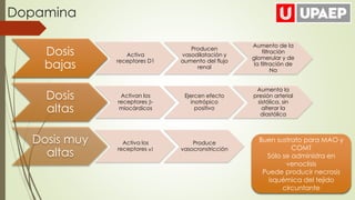 Dopamina
Dosis
bajas
Activa
receptores D1
Producen
vasodilatación y
aumento del flujo
renal
Aumento de la
filtración
glomerular y de
la filtración de
Na
Dosis
altas
Activan los
receptores β-
miocárdicos
Ejercen efecto
inotrópico
positivo
Aumenta la
presión arterial
sistólica, sin
alterar la
diastólica
Dosis muy
altas
Activa los
receptores α1
Produce
vasocronstricción
Buen sustrato para MAO y
COMT
Sólo se administra en
venoclisis
Puede producir necrosis
isquémica del tejido
circuntante
 