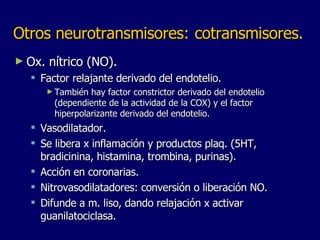 Otros neurotransmisores:   cotransmisores. Ox. nítrico (NO).  Factor relajante derivado del endotelio. También hay factor constrictor derivado del endotelio (dependiente de la actividad de la COX) y el factor hiperpolarizante derivado del endotelio. Vasodilatador.  Se libera x inflamación y productos plaq. (5HT, bradicinina, histamina, trombina, purinas).  Acción en coronarias. Nitrovasodilatadores: conversión o liberación NO. Difunde a m. liso, dando relajación x activar guanilatociclasa. 