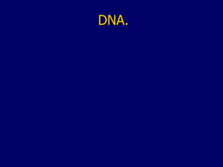 DNA. 