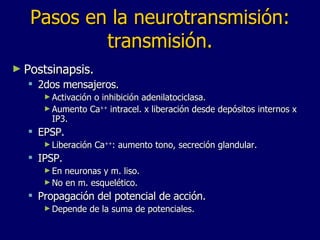 Pasos en la neurotransmisión: transmisión. Postsinapsis.  2dos mensajeros.  Activación o inhibición adenilatociclasa.  Aumento Ca ++  intracel. x liberación desde depósitos internos x IP3. EPSP. Liberación Ca ++ : aumento tono, secreción glandular.  IPSP. En neuronas y m. liso. No en m. esquelético. Propagación del potencial de acción. Depende de la suma de potenciales.  