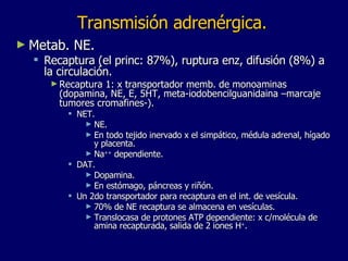 Transmisión adrenérgica. Metab. NE.  Recaptura (el princ: 87%), ruptura enz, difusión (8%) a la circulación. Recaptura 1: x transportador memb. de monoaminas (dopamina, NE, E, 5HT, meta-iodobencilguanidaina –marcaje tumores cromafines-).  NET.  NE. En todo tejido inervado x el simpático, médula adrenal, hígado y placenta. Na ++  dependiente. DAT.  Dopamina. En estómago, páncreas y riñón. Un 2do transportador para recaptura en el int. de vesícula.  70% de NE recaptura se almacena en vesículas. Translocasa de protones ATP dependiente: x c/molécula de amina recapturada, salida de 2 iones H + .  