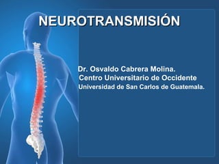 NEUROTRANSMISIÓNNEUROTRANSMISIÓN
Dr. Osvaldo Cabrera Molina.
Centro Universitario de Occidente
Universidad de San Carlos de Guatemala.
 