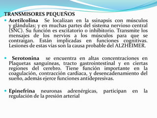 TRANSMISORES PEQUEÑOS
 Acetilcolina Se localizan en la ssinapsis con músculos
  y glándulas; y en muchas partes del sistema nervioso central
  (SNC). Su función es excitatorio o inhibitorio. Transmite los
  mensajes de los nervios a los músculos para que se
  contraigan. Están implicadas en funciones cognitivas.
  Lesiones de estas vías son la causa probable del ALZHEIMER.

     Serotonina se encuentra en altas concentraciones en
    Plaquetas sanguíneas, tracto gastrointestinal y en ciertas
    regiones del cerebro. Tiene función importante en la
    coagulación, contracción cardiaca, y desencadenamiento del
    sueño, además ejerce funciones antidepresivas.

 Epinefrina      neuronas adrenérgicas,   participan   en   la
    regulación de la presión arterial
 