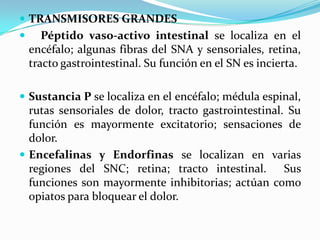  TRANSMISORES GRANDES
      Péptido vaso-activo intestinal se localiza en el
    encéfalo; algunas fibras del SNA y sensoriales, retina,
    tracto gastrointestinal. Su función en el SN es incierta.

 Sustancia P se localiza en el encéfalo; médula espinal,
  rutas sensoriales de dolor, tracto gastrointestinal. Su
  función es mayormente excitatorio; sensaciones de
  dolor.
 Encefalinas y Endorfinas se localizan en varias
  regiones del SNC; retina; tracto intestinal.        Sus
  funciones son mayormente inhibitorias; actúan como
  opiatos para bloquear el dolor.
 
