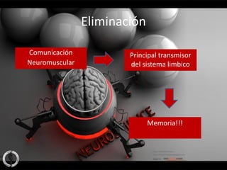 Eliminación

Comunicación            Principal transmisor
Neuromuscular           del sistema limbico




                              Memoria!!!
 