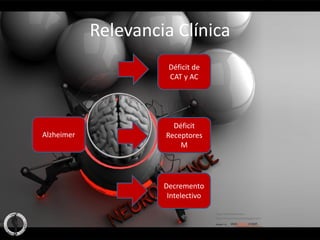 Relevancia Clínica
                      Déficit de
                      CAT y AC




                       Déficit
Alzheimer            Receptores
                         M




                     Decremento
                      Intelectivo
 