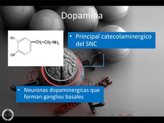 Dopamina
                  • Principal catecolaminergico
                    del SNC




• Neuronas dopaminergicas que
  forman ganglios basales
 