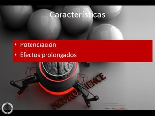 Características


• Potenciación
• Efectos prolongados
 