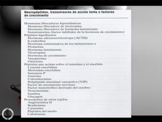 Neurotransmisores