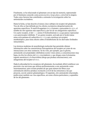 Finalmente, se ha relacionado al glutamato con un tipo de memoria, representado
por el fenómeno conocido como potenciación a largo plazo, a nivel de la sinapsis.
Todos estos factores han contribuido a estimular la investigación sobre los
aminoácidos excitadores.

Hasta la fecha, se han descrito al menos cinco subtipos de receptor del glutamato.
Tres de ellos se han definido por los efectos excitatorios (despolarizantes) de
agonistas específicos: N-metil-D-aspartato (NMDA) kainato y quiscualato (o AMPA, el
nombre de otro agonista más específico) y por los de sus antagonistas específicos.
Un cuarto receptor, el del I-2.-amino-4-fosfonobutirato (AP4) que parece representar
a un autorreceptor inhibidor. Y un quinto receptor, activado por el ácido transa
mino-ciclo pentano-di carboxílico (ACPD) y que constituye un receptor
metabotrópico, pues tiene efectos sobre el metabolismo de los derivados fosfatados
intracelulares.

Las técnicas modernas de neurobiología molecular han permitido obtener
información sobre las características fisicoquímicas del receptor así como de sus
interacciones con otras sustancias. Se ha visto, por ejemplo, que la glicina,
aminoácido con propiedades inhibidoras (como vimos antes), a concentraciones muy
bajas, facilita los efectos del NMDA (excitadores), y que drogas como la ketamina
(agente anestésico) y la fenciclidina (droga que produce alucinaciones), son
antagonistas del receptor al NMDA.

Dada la ubicuidad de los receptores del glutamato, ha resultado difícil establecer con
precisión vías nerviosas que utilicen preferentemente a este aminoácido como
neurotransmisor; pero existen pruebas de que gran número de fibras cuya
estimulación eléctrica produce excitación a nivel de las estructuras a las que
proyecta, son de carácter glutamatérgico. El aspartato, otro aminoácido relacionado,
podría tener también sus vías específicas, así como efectos particulares y separables
de los del glutamato.
 