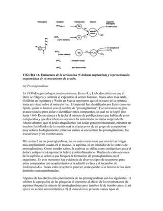 FIGURA 18. Estructura de la serotonina (5-hidroxi-triptamina) y representación
esquemática de su mecanismo de acción.

iii) Prostaglandinas

En 1930 dos ginecólogos estadounidenses, Kurzrok y Lieb, descubrieron que el
útero se relajaba y contraía al exponerse el semen humano. Pocos años más tarde,
Goldblat en Inglaterra y Wuler en Suecia reportaron que el extracto de la próstata
tenía actividad sobre el músculo liso. El material fue identificado por Euler como un
lípido, quien lo bautizó con el nombre de "prostaglandina". Fue necesario un gran
avance técnico para aislar e identificar estos compuestos, lo cual no se logró sino
hasta 1960. De esa época a la fecha el número de publicaciones que hablan de estos
compuestos y que describen sus acciones ha aumentado en forma sorprendente.
Ahora sabemos que el ácido araquidónico (un ácido graso polinsaturado, presente en
muchos fosfolípidos de la membrana) es el precursor de un grupo de compuestos
muy activos biológicamente, entre los cuales se encuentran las prostaglandinas, los
leucotrienos y los tromboxanos.

Me centraré en las prostaglandinas, no sin antes mencionar que una de las drogas
más ampliamente usadas en el mundo, la aspirina, es un inhibidor de la síntesis de
prostaglandinas. Como ustedes saben, la aspirina se utiliza como analgésico (quita el
dolor), antipirético (suprime la fiebre) y antiinflamatorio. Muchas de estas acciones
de la aspirina se deben a que bloquea la formación de prostaglandinas en el
organismo. En este momento hay evidencia de diversos tipos de receptores para
estos compuestos con acoplamientos a la adenilil ciclasa y al recambio de
fosfoinosítidos. Todos estos receptores parecen corresponder a la familia de los siete
dominios transmembranales.

Algunos de los efectos más prominentes de las prostaglandinas son los siguientes: 1)
inhiben la agregación de las plaquetas al oponerse al efecto de los tromboxanos (la
aspirina bloquea la síntesis de prostaglandinas pero también la de tromboxanos, y así
ejerce su acción antitrombótica); 2) el músculo liso presenta varios tipos de
 