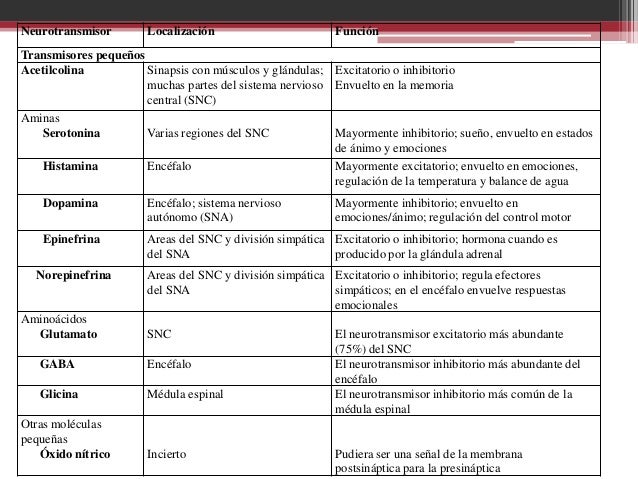 Neurotransmisores