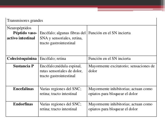 Neurotransmisores