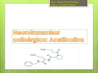 Dra. Maira Pratt Batista
Bach. Anelffry Reyes

 